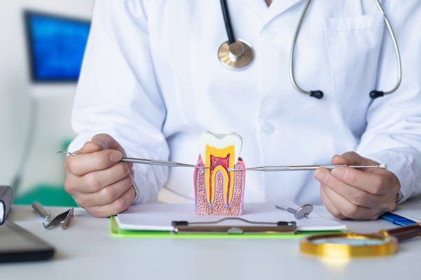 Best Emergency Dental Care for Broken or Chipped Teeth in Falls City, NE